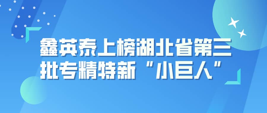 伟德源自英国始于1946上榜湖北省第三批专精特新“小巨人”企业名单